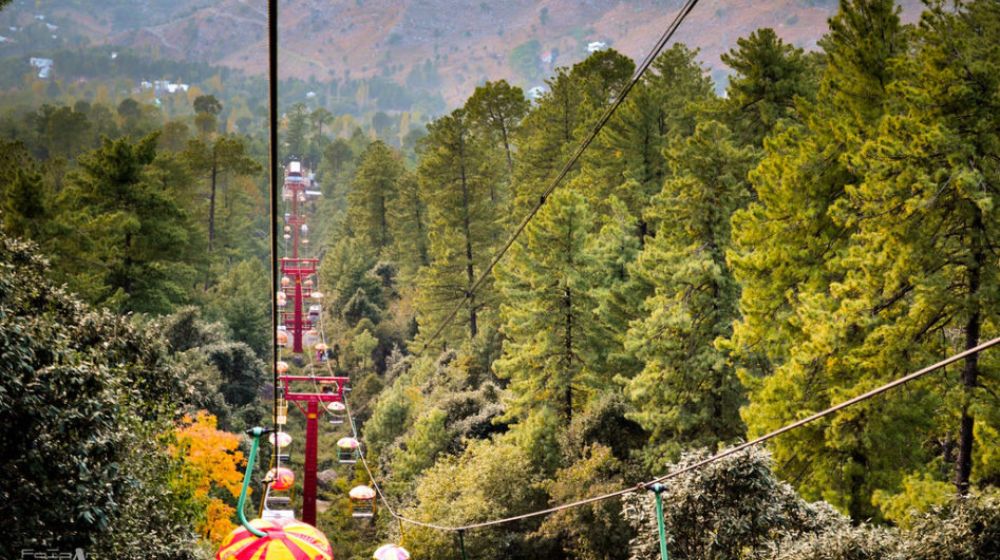 Muree